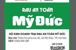 HỒ SƠ NĂNG LỰC CỦA CÁC NHÀ CUNG CẤP THỰC PHẨM NĂM HỌC 2026 - 2027